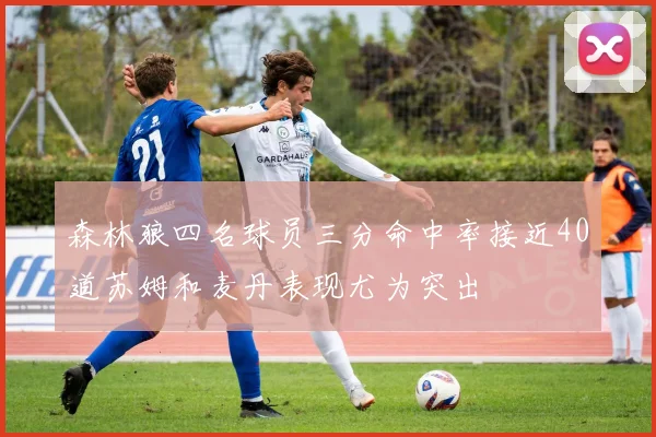 森林狼四名球员三分命中率接近40道苏姆和麦丹表现尤为突出